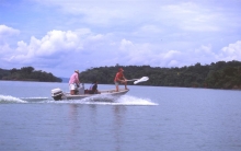 Capture of a migratory butterfly over the Panama Canal