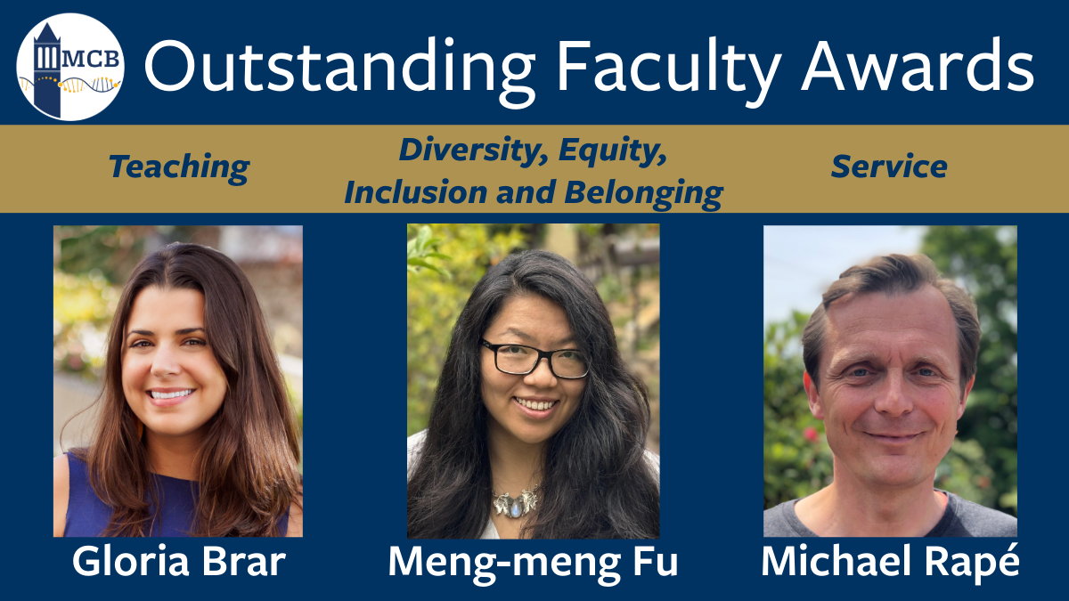  Outstanding Teaching Awards